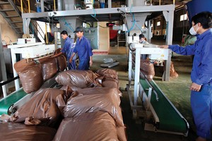 Doanh nghiệp chăn nuôi đuối sức vì TPP